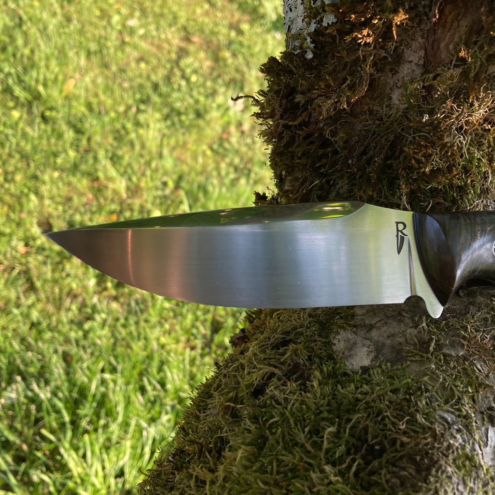 Obsidian | Hunting Knife N690 | Stabilized Wood & G10