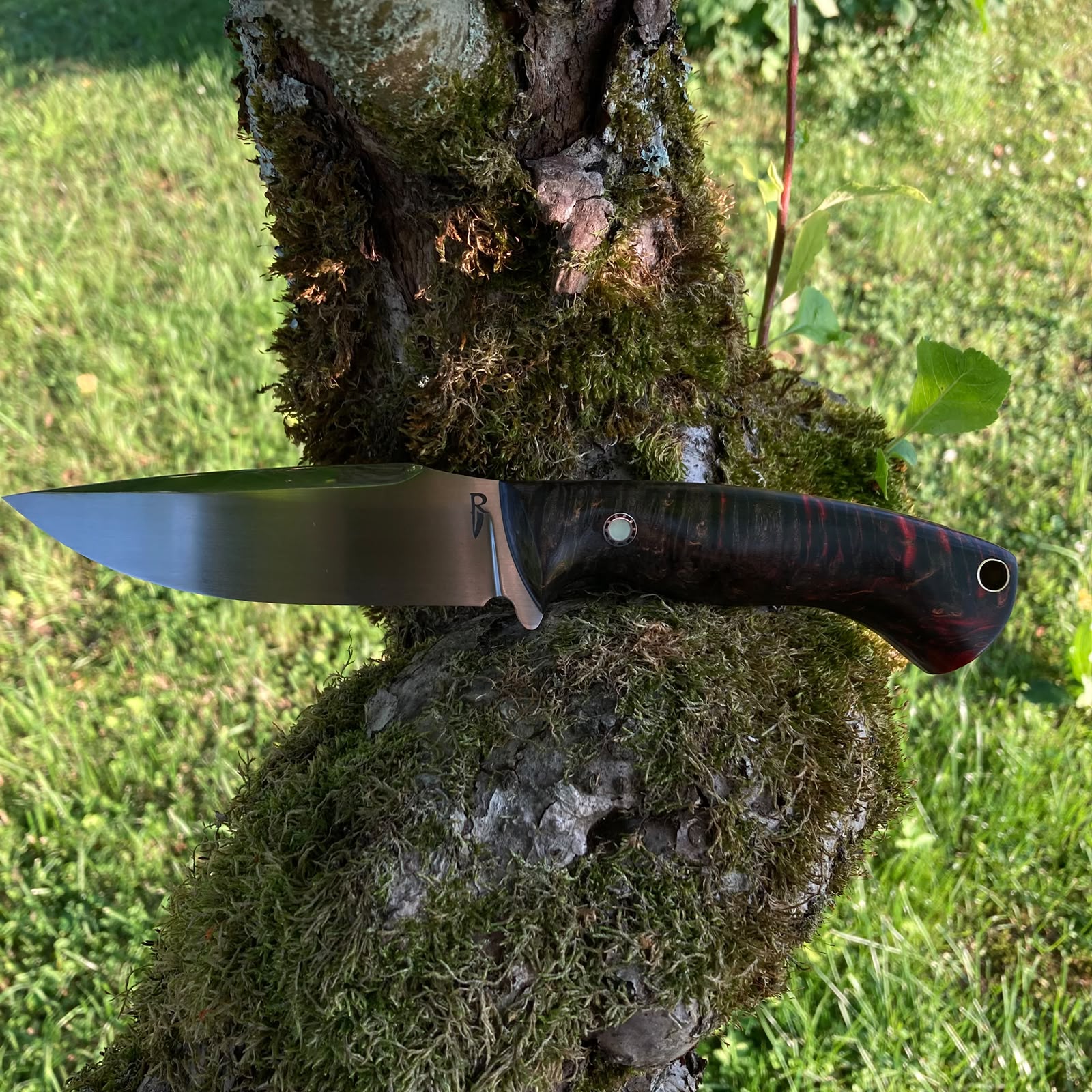 Obsidian | Hunting Knife N690 | Stabilized Wood & G10