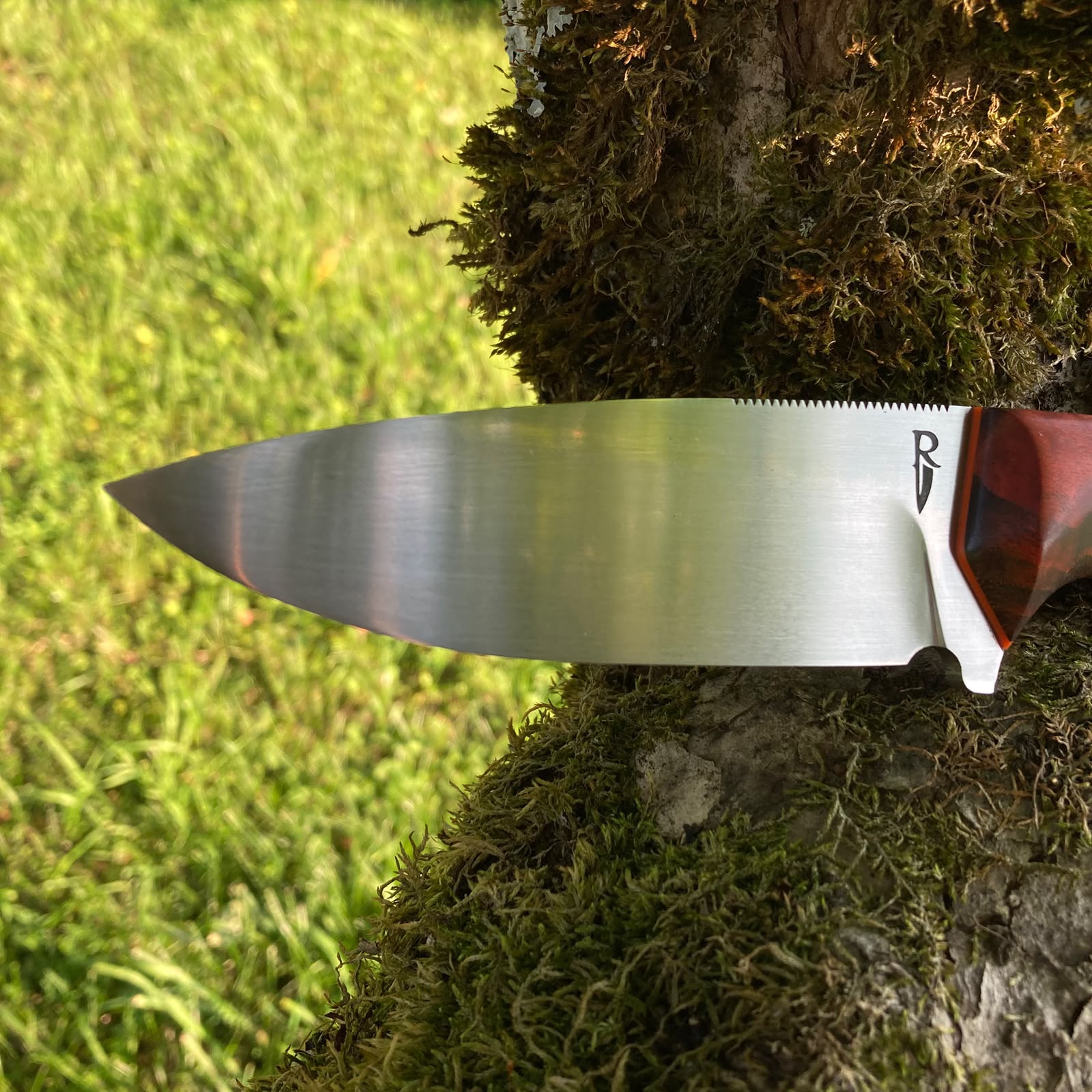 Ember | Hunting Knife N690 | Stabilized Wood & G10