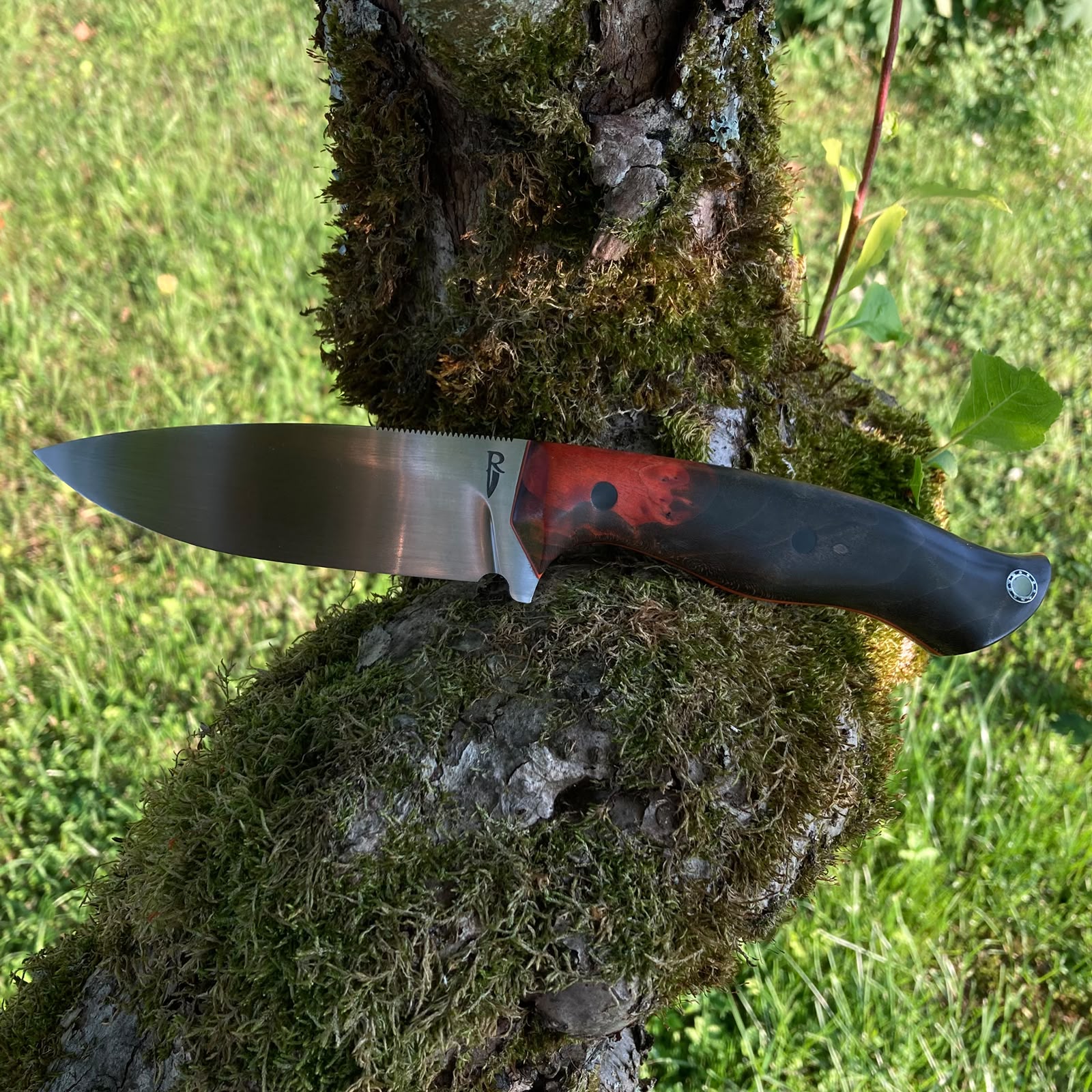 Ember | Hunting Knife N690 | Stabilized Wood & G10