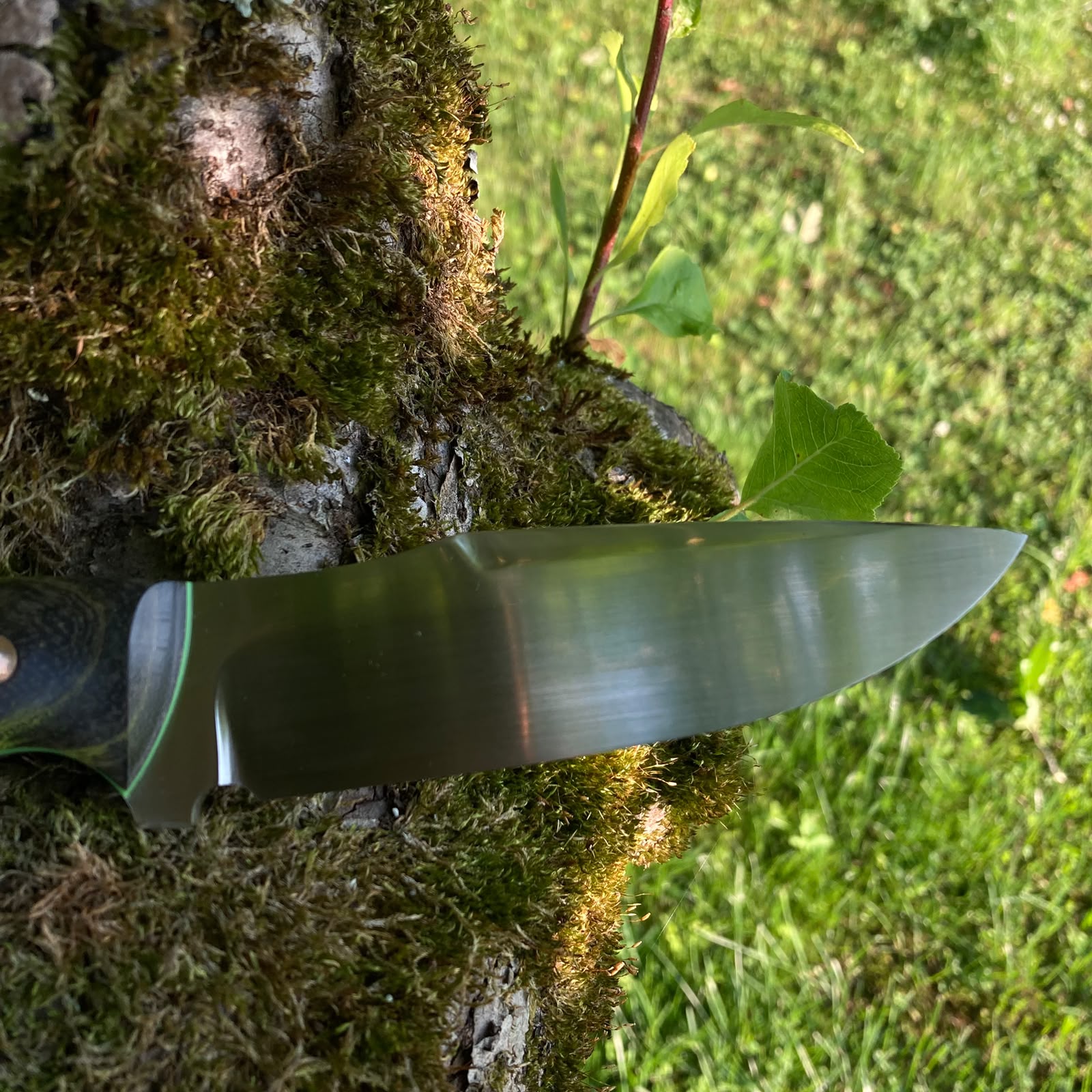 Wasp | Hunting Knife N690 | Stabilized Wood & G10