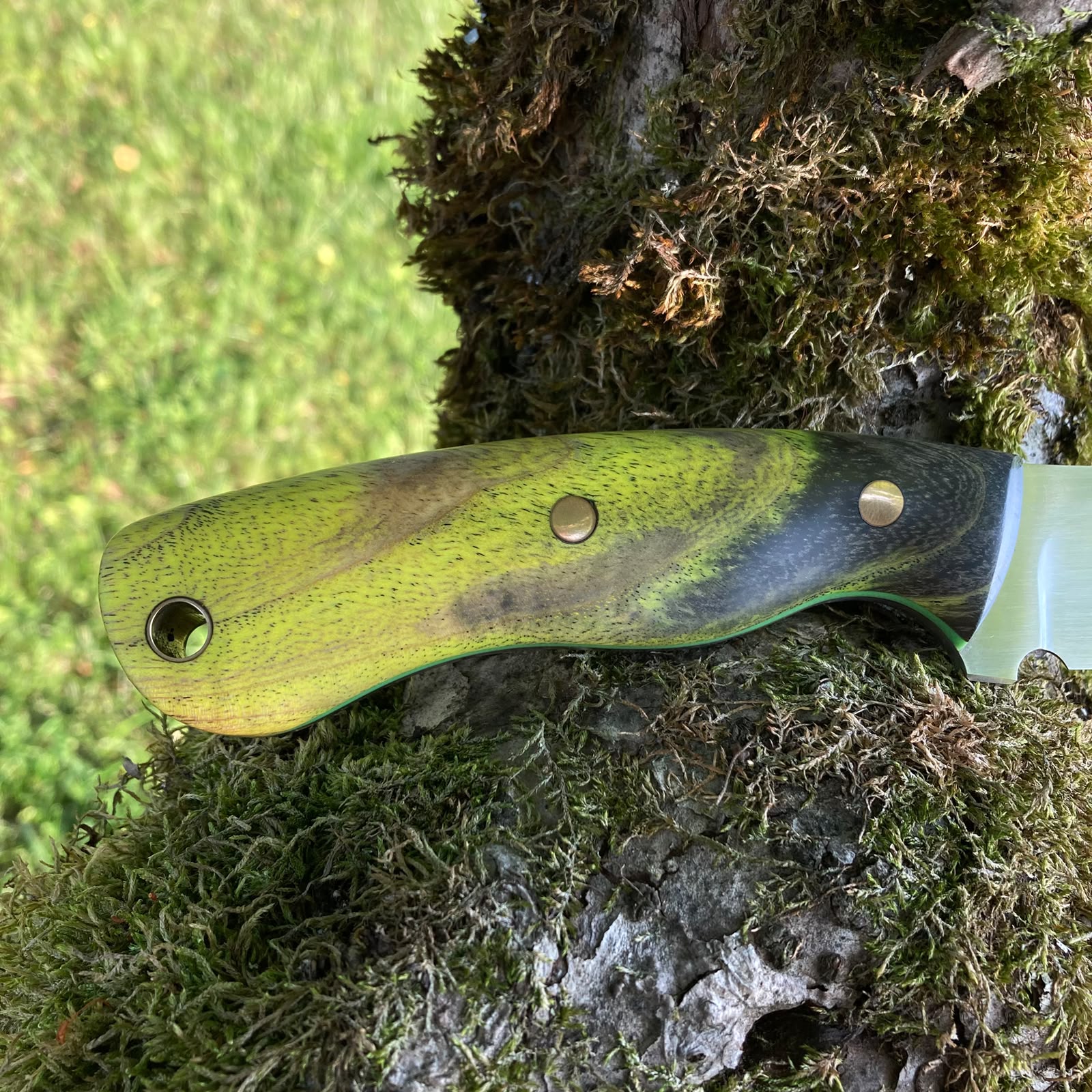 Wasp | Hunting Knife N690 | Stabilized Wood & G10