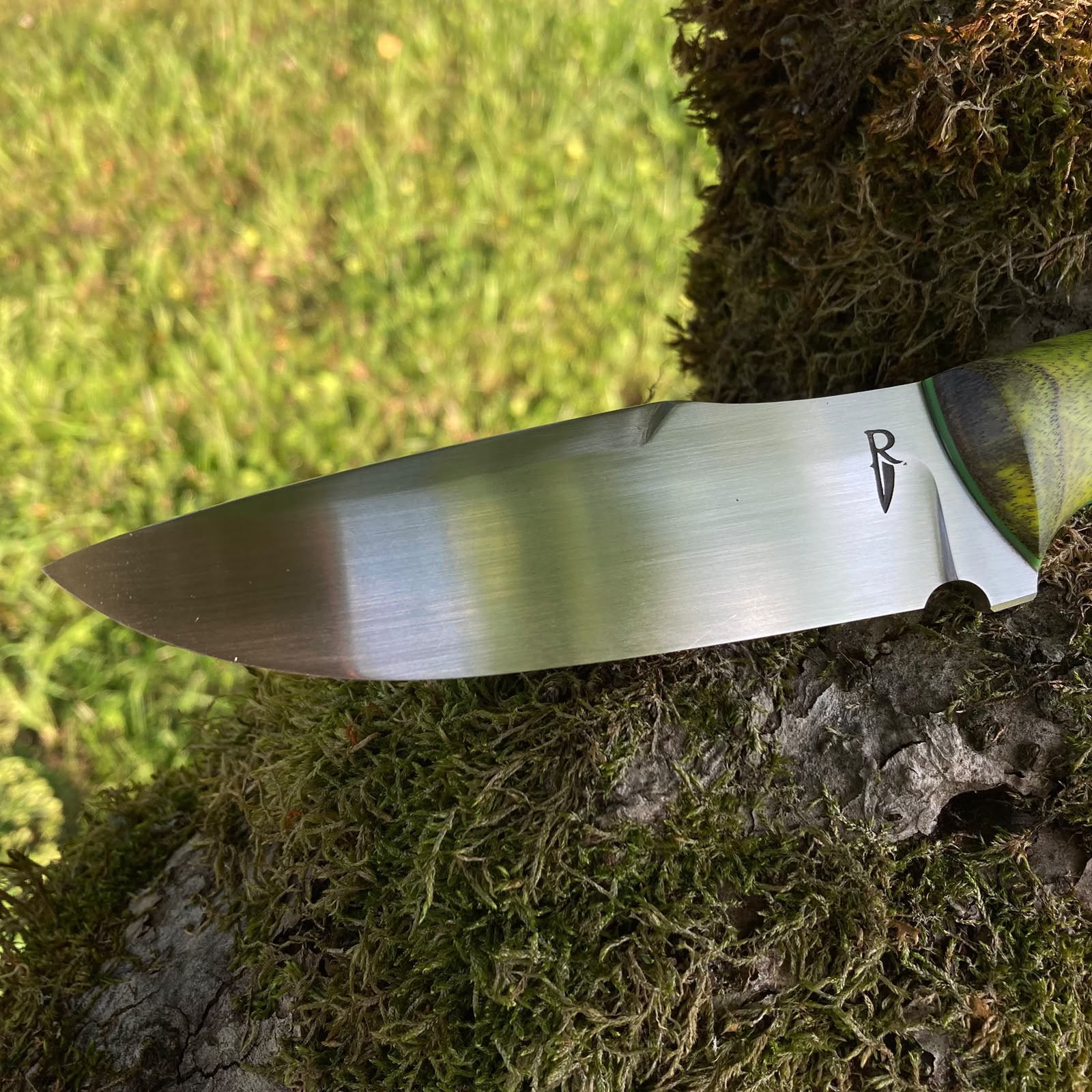 Wasp | Hunting Knife N690 | Stabilized Wood & G10