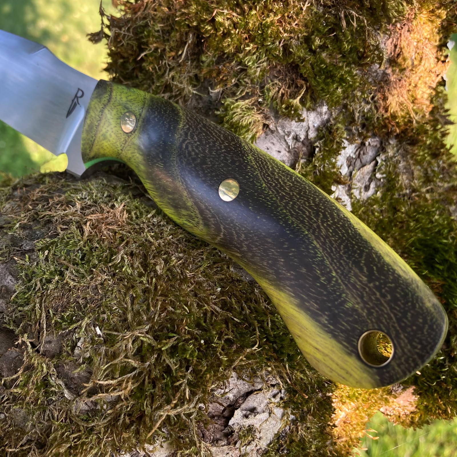 Wasp | Hunting Knife N690 | Stabilized Wood & G10
