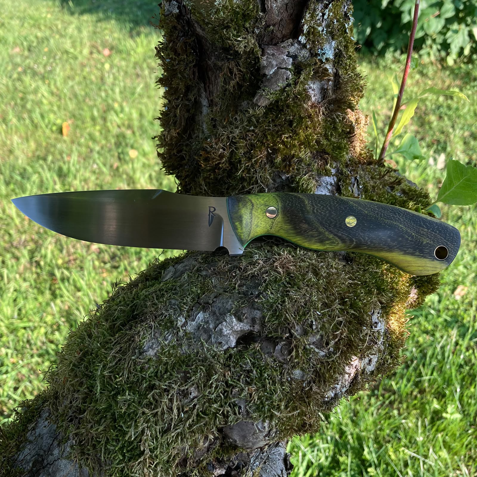 Wasp | Hunting Knife N690 | Stabilized Wood & G10