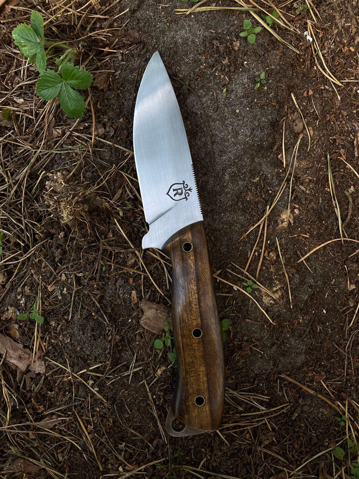 Forest Companion