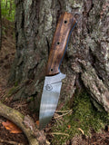 Forest Companion