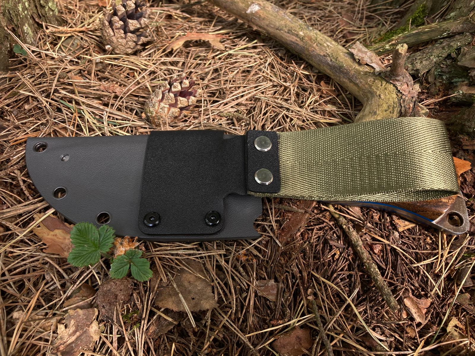 Forest Companion