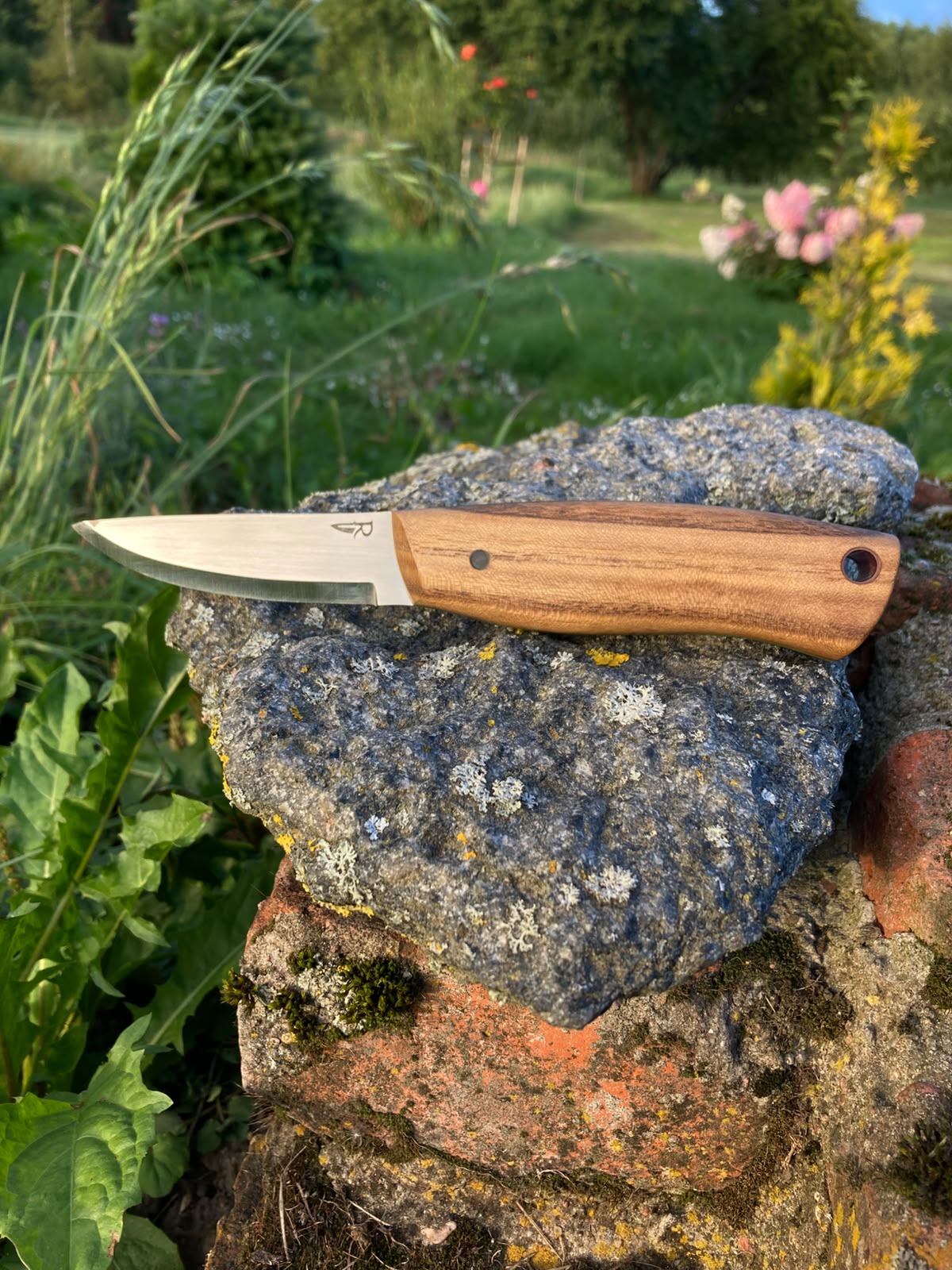 Bushcraft knife with Japanese Pagoda Tree handle on stone