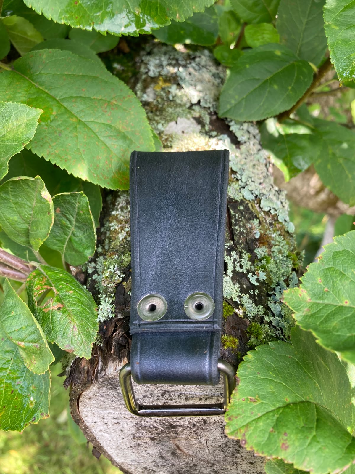 Black leather dangler on mossy branch